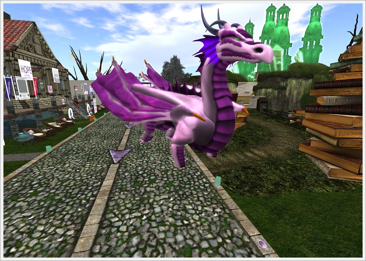 Relay For Life 2013  (33)